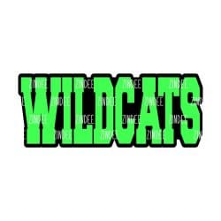 Wildcats (word) – Acrylic Badge Reel Blank (2") No Hole | Optional Sticker or UV DTF