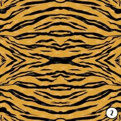 Animal Print 2 (vinyl) - Image 3