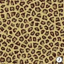 Animal Print (vinyl) - Image 8