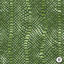 Animal Print Classic (vinyl) - Image 12