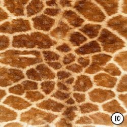 Animal Print Textured Look (vinyl) - Image 11