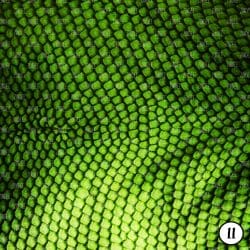 Animal Print Textured Look (vinyl) - Image 12