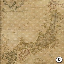 Antique Maps (vinyl) - Image 13