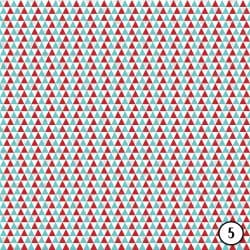 Aqua and Red (vinyl) - Image 6