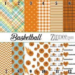 Basketball (vinyl)