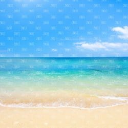 Beach Scene (vinyl)