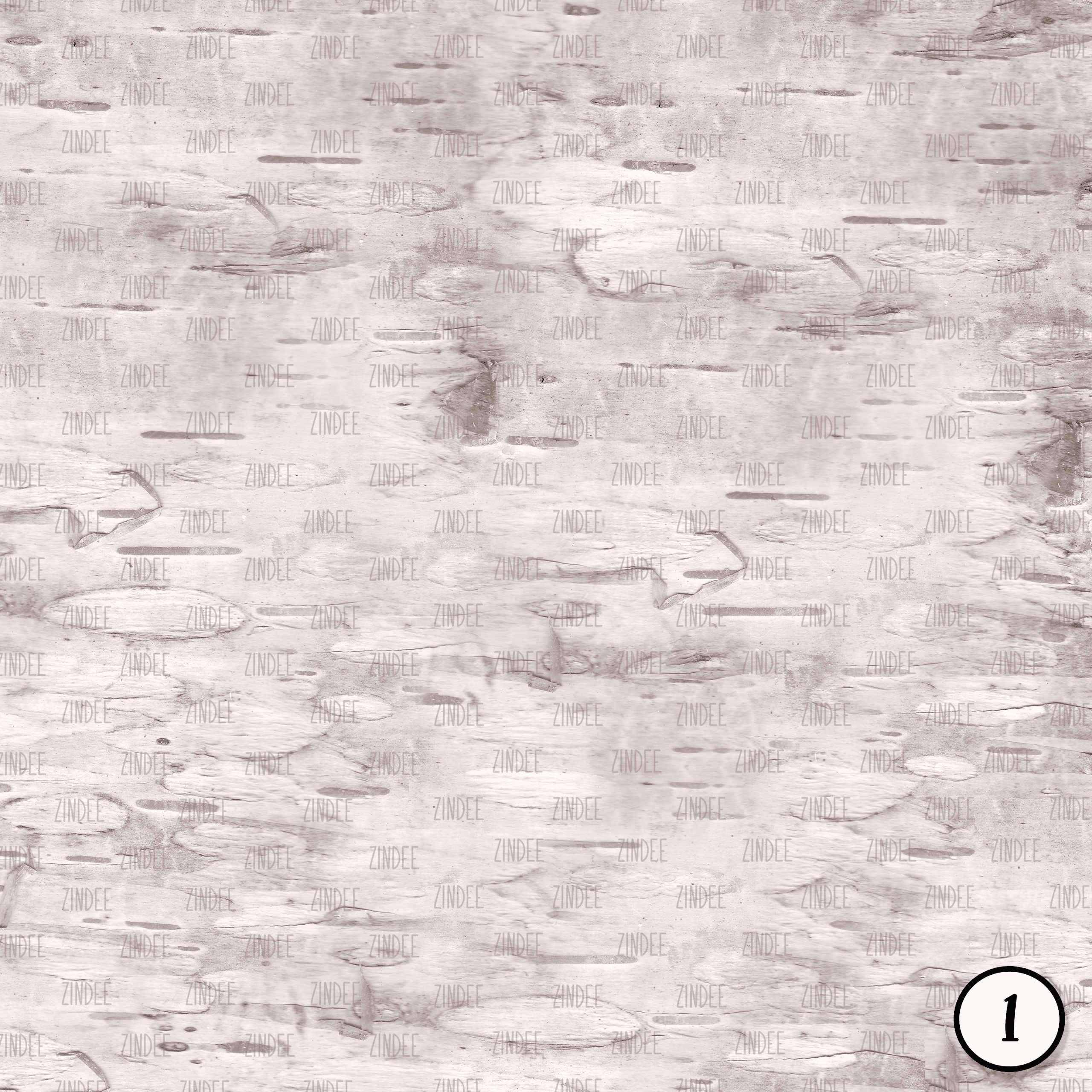 Birch Bark (vinyl) - Image 2