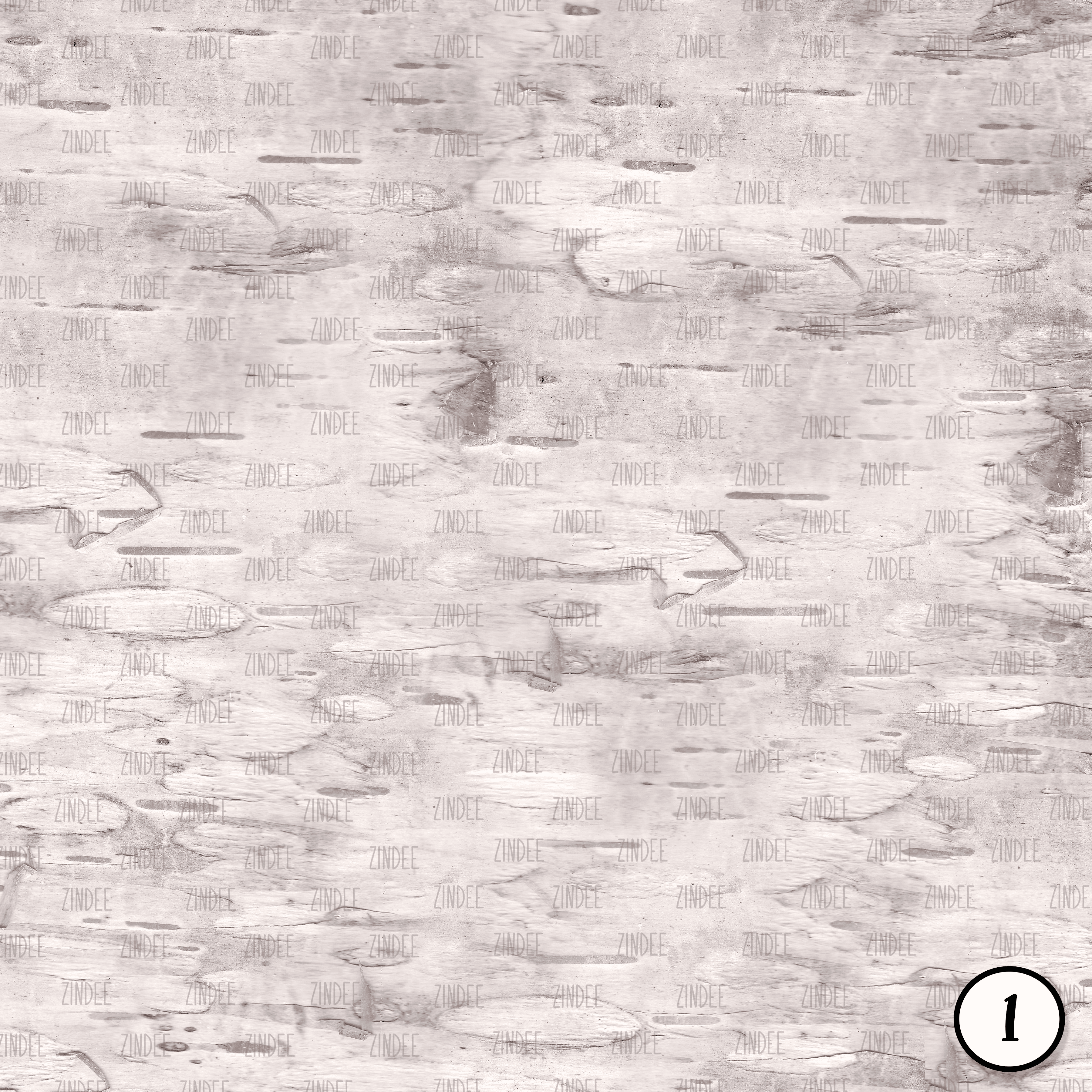 Alternative view of Birch Bark (vinyl)