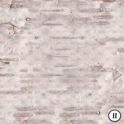 Birch Bark (vinyl) - Image 12