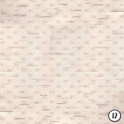 Birch Bark (vinyl) - Image 13