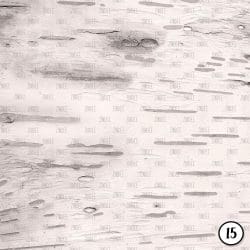 Birch Bark (vinyl) - Image 16