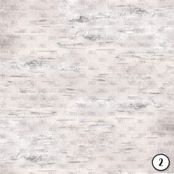 Birch Bark (vinyl) - Image 3