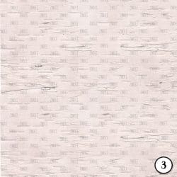 Birch Bark (vinyl) - Image 4