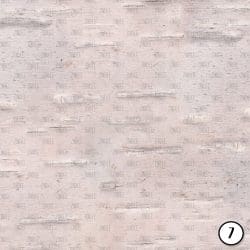 Birch Bark (vinyl) - Image 8