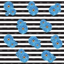 Black White Stripe Blue Daisies (vinyl)