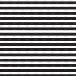 Black and White Stripe (vinyl)