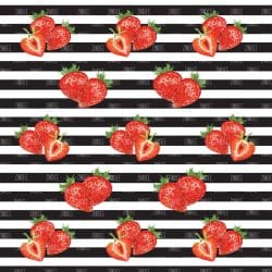 Black White Stripe Fruit Strawberry (vinyl)