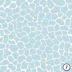 Blue and Brown Wild (vinyl) - Image 8