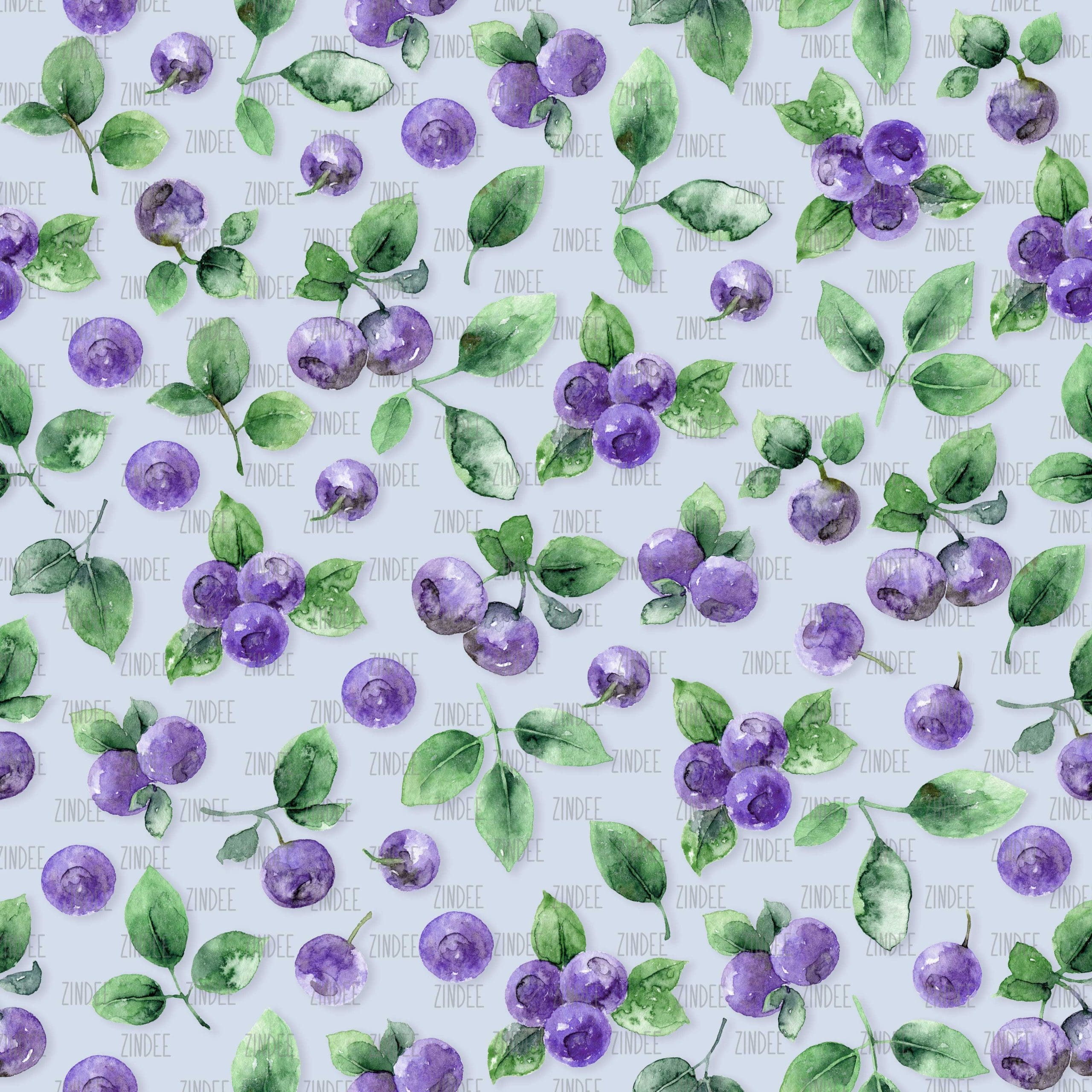 Blue Huckleberries (vinyl)