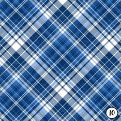 Blue Plaids (vinyl) - Image 11