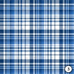 Blue Plaids (vinyl) - Image 4