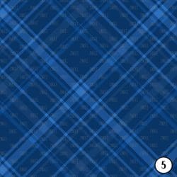 Blue Plaids (vinyl) - Image 6