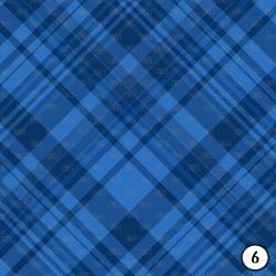 Blue Plaids (vinyl) - Image 7