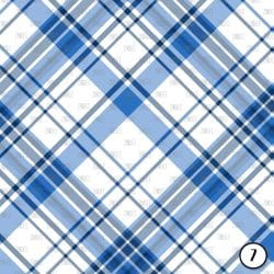 Blue Plaids (vinyl) - Image 8