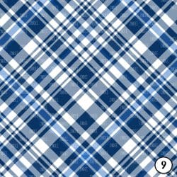 Blue Plaids (vinyl) - Image 10
