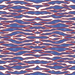 Blue Red Tiger (vinyl)