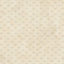 Bone Texture (vinyl)