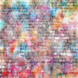 Brick Painted (vinyl)