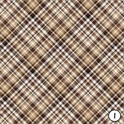 Alternative view of Brown Plaids (vinyl)