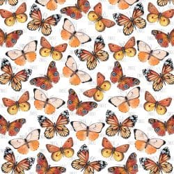Butterflies (vinyl)