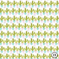 Cactus Prints (vinyl) - Image 14