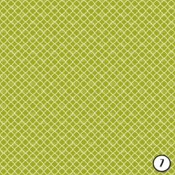 Cactus Prints (vinyl) - Image 8