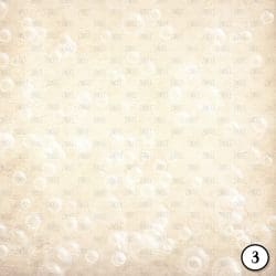 Champagne Bubbles (vinyl) - Image 4