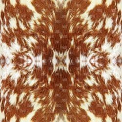 Cowhide Shaggy Brown (vinyl)