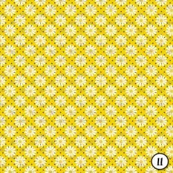 Daisy Blooms (vinyl) - Image 12