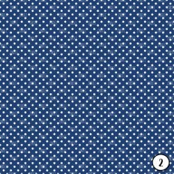 Daisy Blooms (vinyl) - Image 3