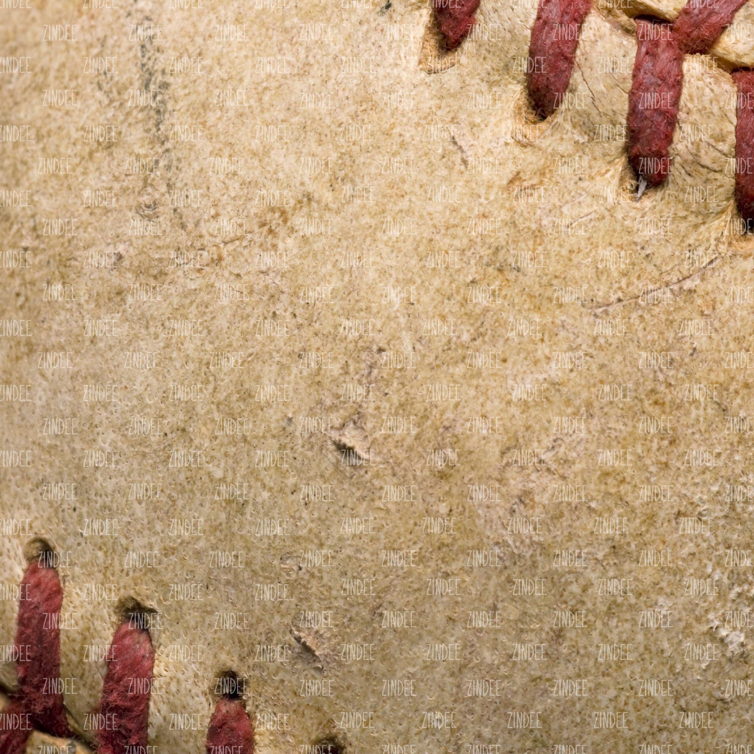 Dirty Baseball with Laces (vinyl)