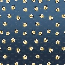 Fireflies (vinyl)