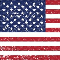 Flag American Distressed (vinyl)