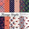 Flamingo Brights (vinyl)