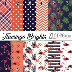 Flamingo Brights (vinyl)