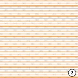 Fox and Raccoon (vinyl) - Image 3