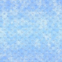 Frosted Snowflakes (vinyl)