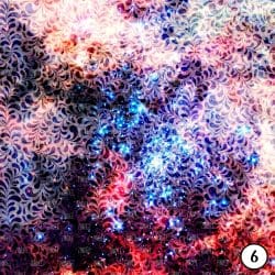 Galaxy Damask (vinyl) - Image 7