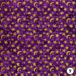 Gold Celestial Velvet (vinyl) - Image 10