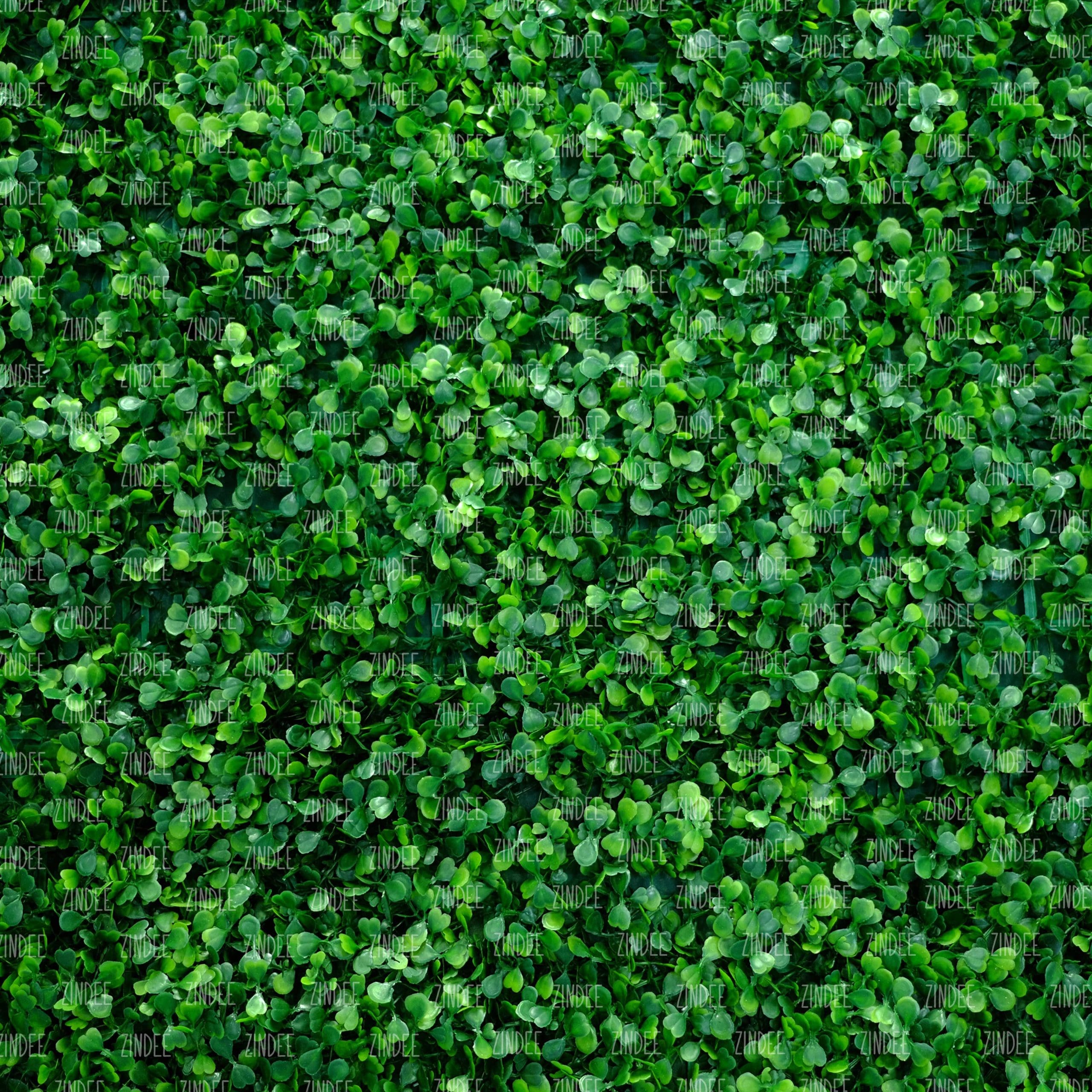 Grass Wall (digital paper)